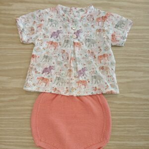 conjunto de punto elefante