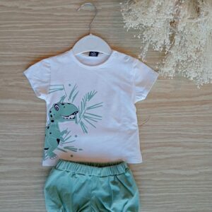 Conjunto Dino