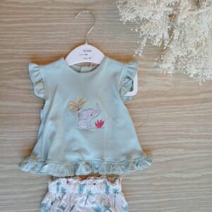 Conjunto elefante